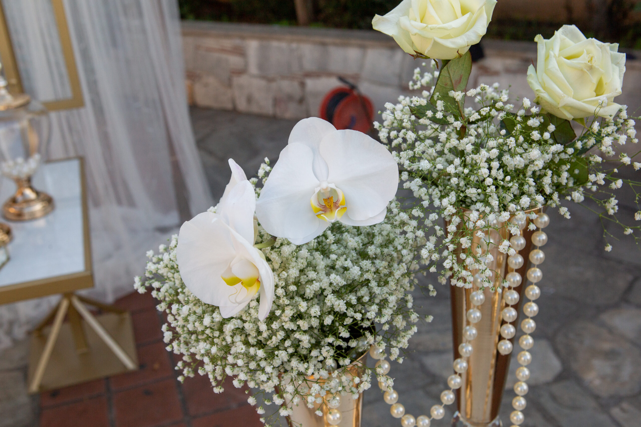 ATESIS PHOTOGRAPHY_0667