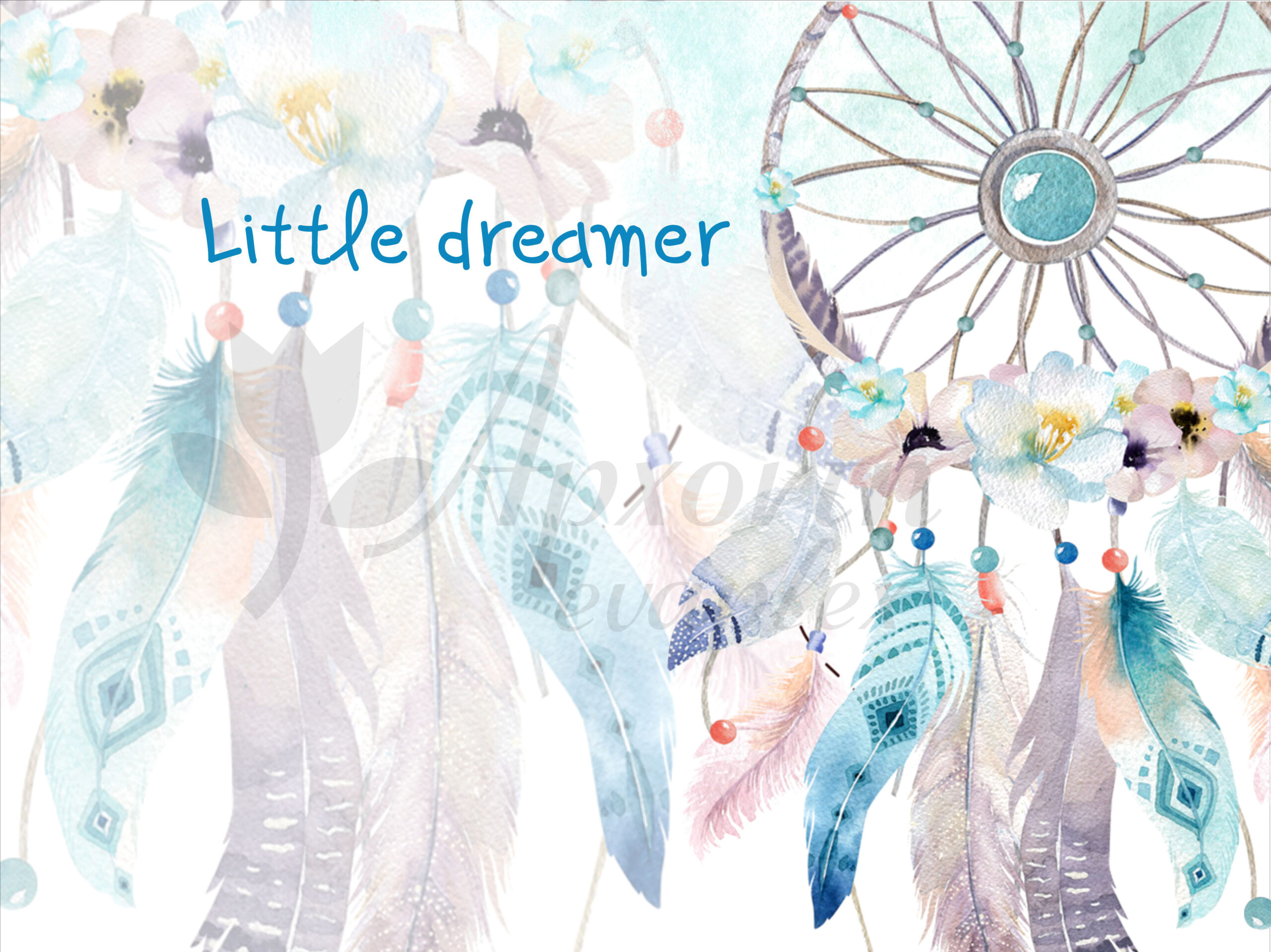 afisa dreamcatch boy
