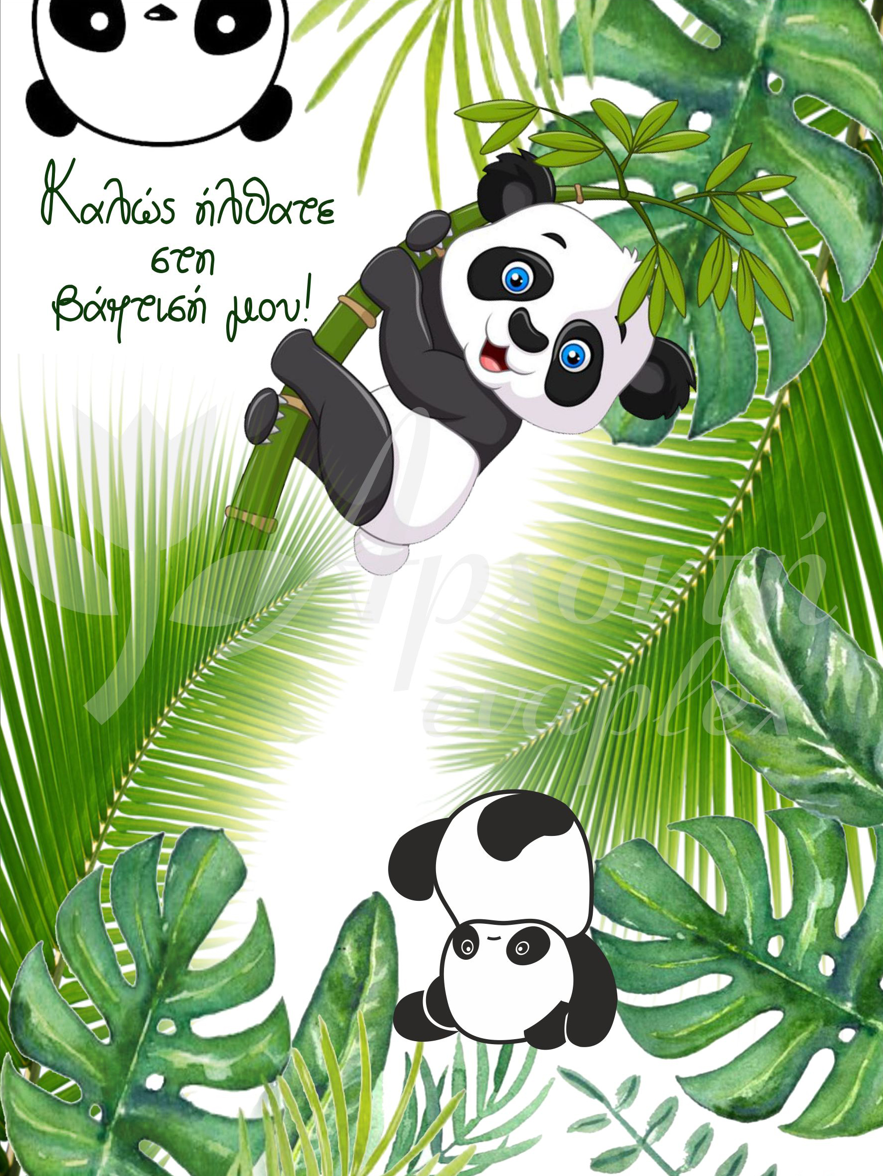 afisa panda