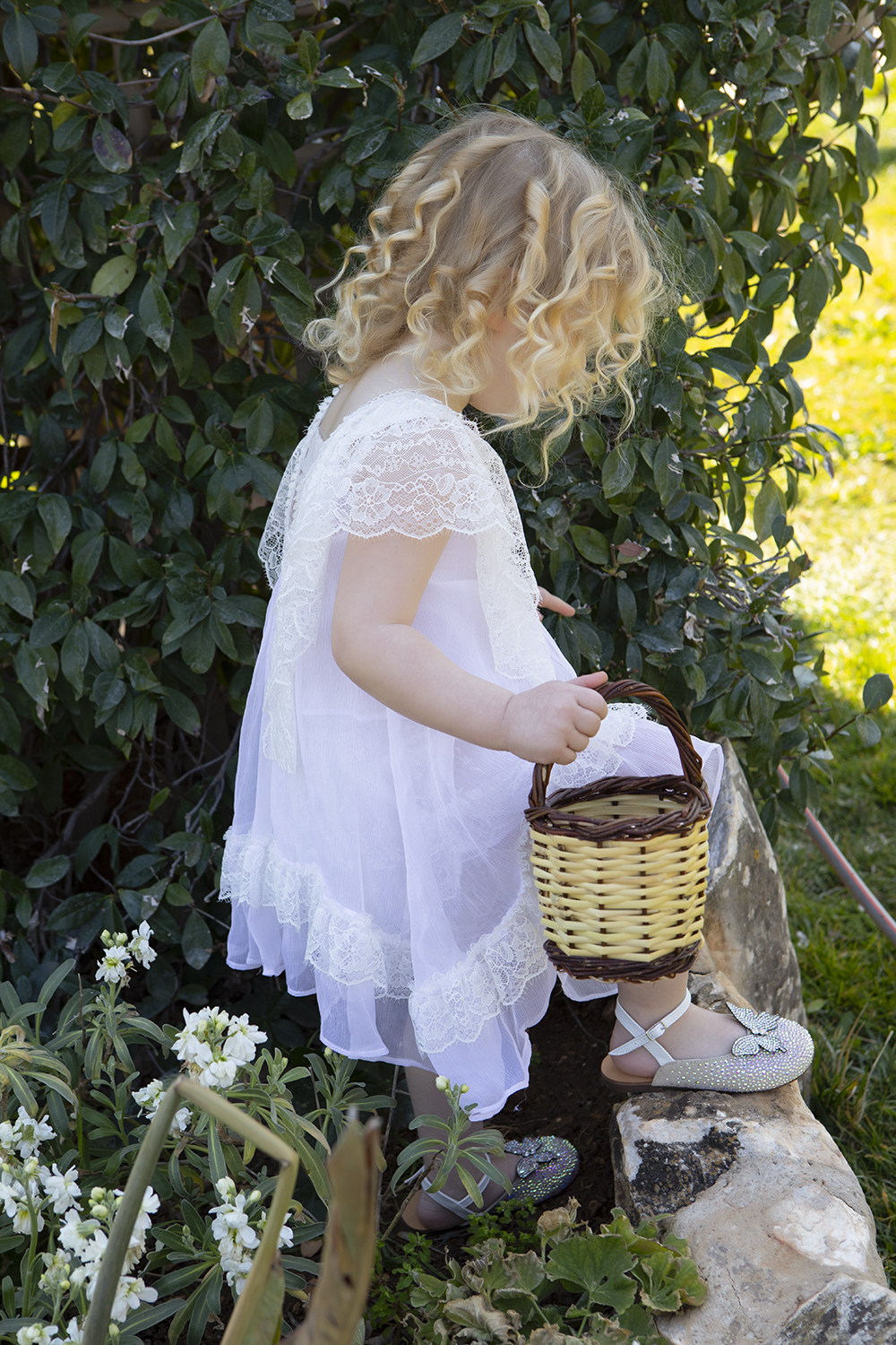 9889 - Isidora (4)