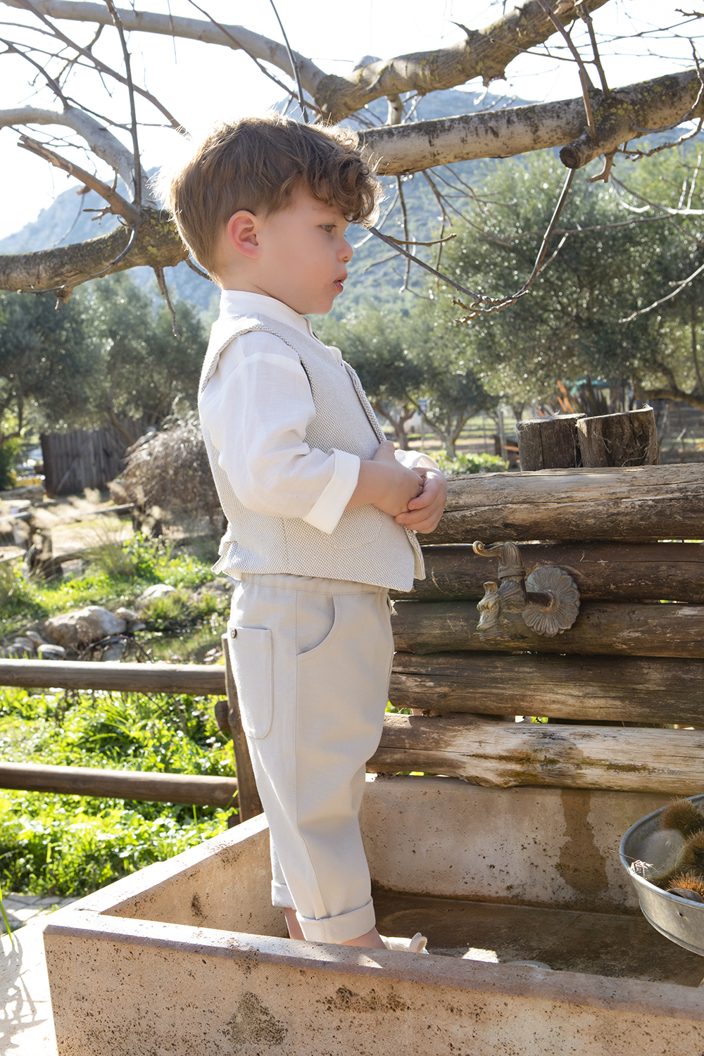 9982 - Teddy (4)