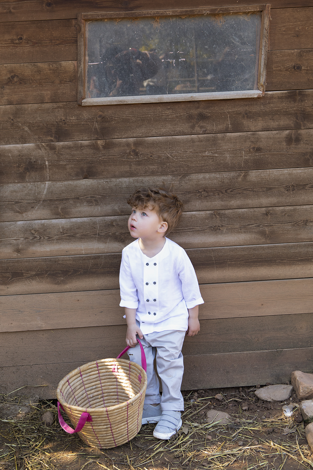 9985- Seth (5)
